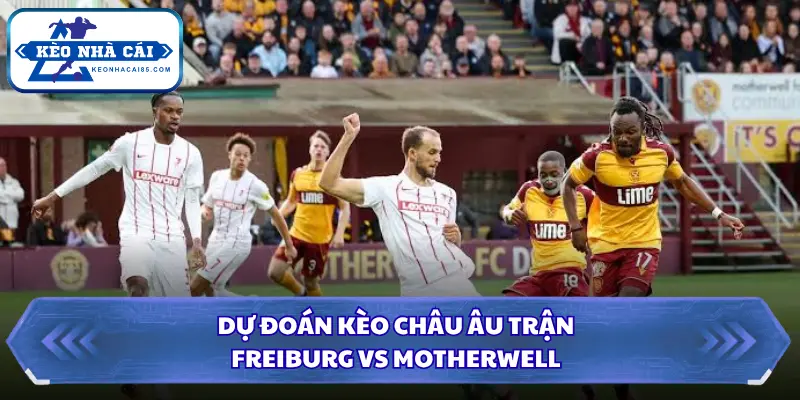Soi kèo nhà cái Freiburg vs Motherwell với tỷ lệ tài xỉu